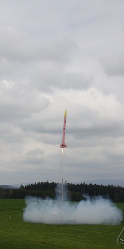 2013 Svojek Mirek Topinka